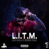 L.I.T.M.(feat. Freddie Stakz) (Explicit) - Juice Dolla&Freddie Stakz