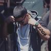 Loca (Explicit) - Boy Junior