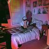 BURNING DOWN THE HOUSE - david halo