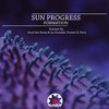 Formation (Nava Remix) - Sun Progress&Nava