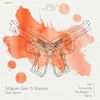 Dub Space - Maksim Dark&Diatonik