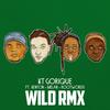 Wild RMX - KT Gorique&Melan&Kenyon&Rootwords