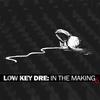 We Work (feat. Big Kuntry King & A-Hype) (Explicit) - Low Key Dre&Big Kuntry King&A-Hype