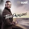 Três palavras - Suel