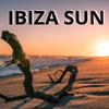 Daddy Long Legs (Terry De Jeff Remix) - Sinsoneria Swing
