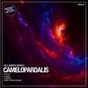 Camelopardalis (Yuriy from Russia Remix) - Alejandro Manso