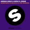 Something To Believe In (Carl Louis & Martin Danielle Remix) - Norman Doray&Cookies&anorexia nervosa