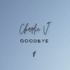 Goodbye - Charlie V