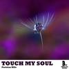 Touch My Soul (Original Mix) - Pariston Hills