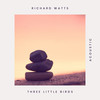 Three Little Birds (Acoustic) - Richard Watts