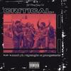 Critical(feat. Ray Vaughn & YoungSweets) (Explicit) - NUUCH&Ray Vaughn&YoungSweets