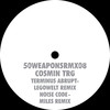 Terminus Abrupt (Legowelt Remix) - Cosmin TRG