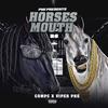 Horses Mouth(feat. CompC) (Explicit) - VIPER PHE&Compc