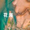 花海 (女生版) - 王一只