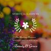 Electric Mystery (Original Mix) - Spiritual Gardens