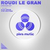 In My Dream (Original Mix) - Roudi Le Gran