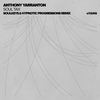 Soul Tax (Soulkeys & Hypnotic Progressions Remix) - Anthony Yarranton&Hypnotic Progressions&Soulkeys