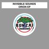 Orion (Original Mix) - Invisible Sounds