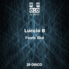Feels like - Luccio B
