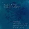 Space Calendar (Anthony Francis Remix) - Sue La Vie