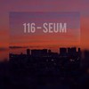 Seum (Explicit) - 116