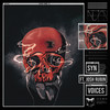 Voices (其他) - SYN&Josh Rubin