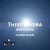 Classic In Dark (Original Mix) - Aniruddha