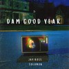 Damn Good Year (feat. Solomon) (Explicit) - Jay Ross&Solomon