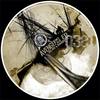 Xpress Music (Original Mix) - Bilro&Barbosa