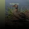 Hallways Of My Mind - The  Dells