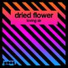 Loving Air - Dried Flower