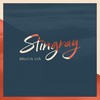 Brucia già - Stingray