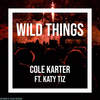 Wild Things - Cole Karter&Katy Tiz