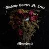 Monotonia - Anthony Sanchez&lefty sm