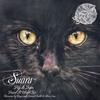 Paint It Black (Coyu Remix) - Pig&Dan