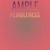 Ample Pliableness - Magne Fard
