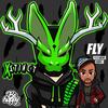 Fly(feat. Born I) - XSTINCT&Born I