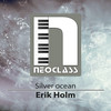 Silver Ocean - Erik Holm