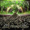 KILL THEM AGAIN (Explicit) - Undead Ronin&6Shmitt&Dakota J Brown