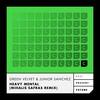 Heavy Mental (Mihalis Safras Remix) - Green Velvet&Junior Sanchez