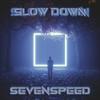 Slow Down - SEVENSPEED&Bogdan Dorgosan