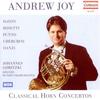 I. Allegro - Andrew Joy&Cologne Radio Orchestra&Johannes Goritzki