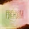 Freedom - Guy Didden