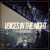 Voices In The Night (Original Mix) - DeFreight