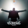 Soundstorm (DJ mix) - remix - Wildstylez