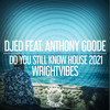 Do You Still Know House 2021 (Dubbed Stripped Mix) - Djed&Anthony Goode&WrightVibes