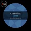 Excited (Longalenga Remix) - Forest Weed&Longalenga