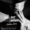 Afraid To Feel (Ibiza Sun of A Beach Remix) - Mr. Pit&Sean Norvis&Justine Berg&Ibiza Sun of A Beach