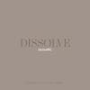 Dissolve (Acoustic) - Disappeared Completely