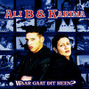 Waar gaat dit heen? (feat. Karima) - Ali B&Karima